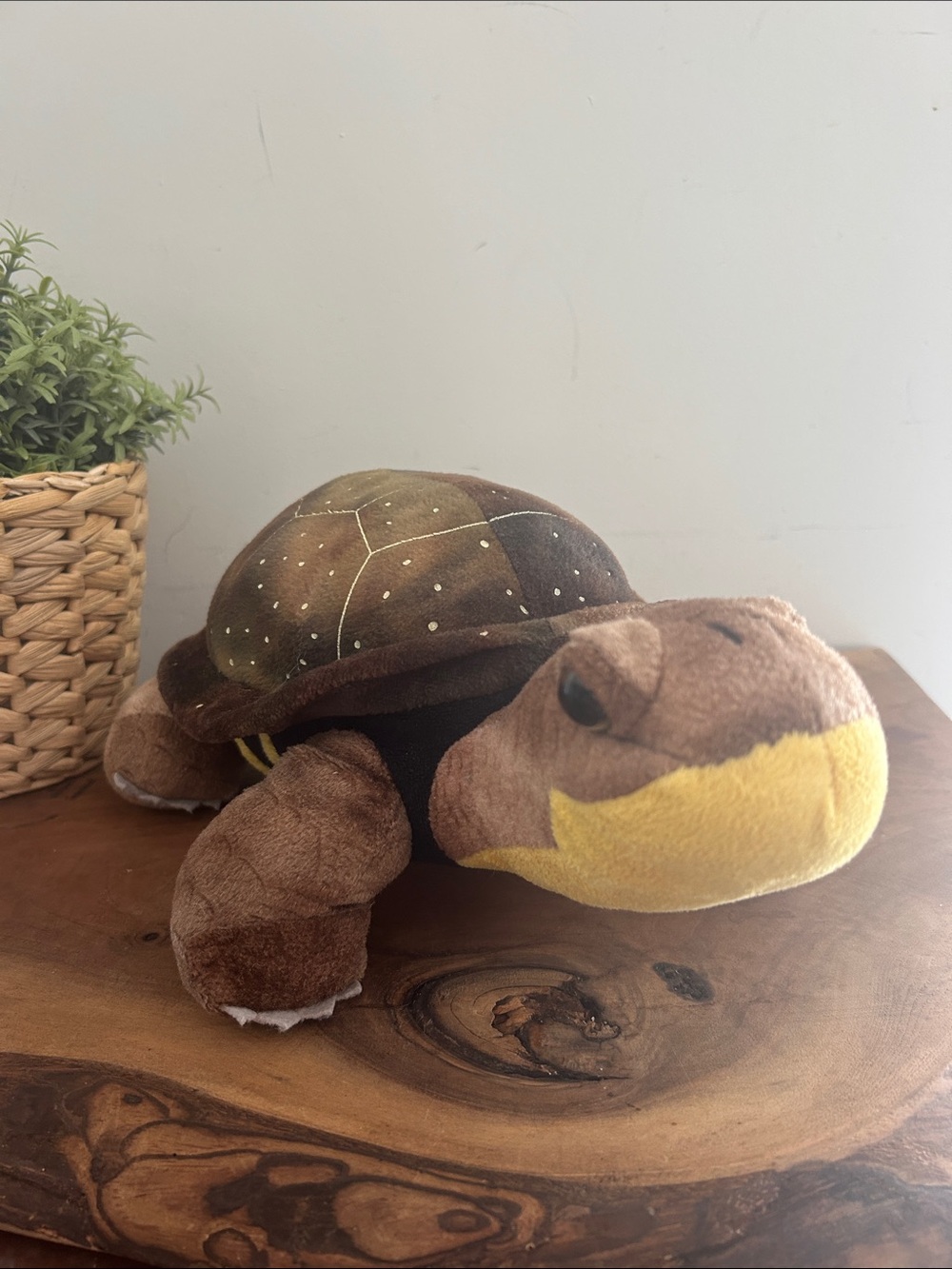 Ontario Parks Plush Turtle Stuffed Animal in Brown and Yellow